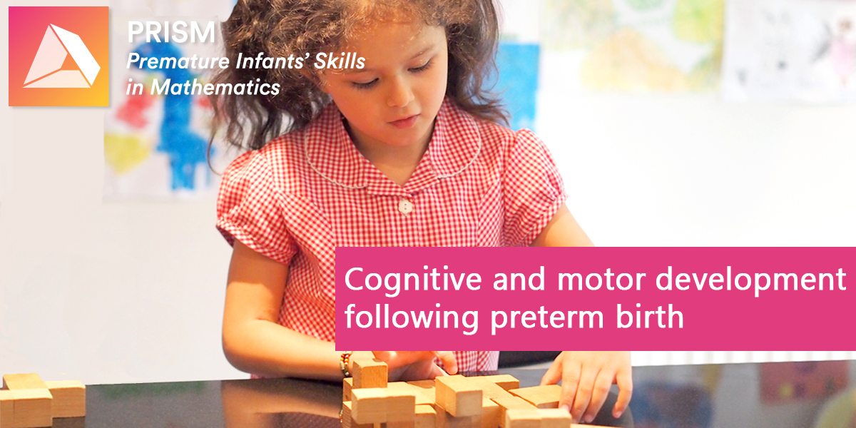 Cognitive and motor development following preterm birth